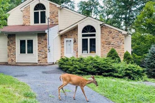 Serenity Falls - Stylish 4Bdr Mountain Retreat, Hot Tub, Pool - East Stroudsburg