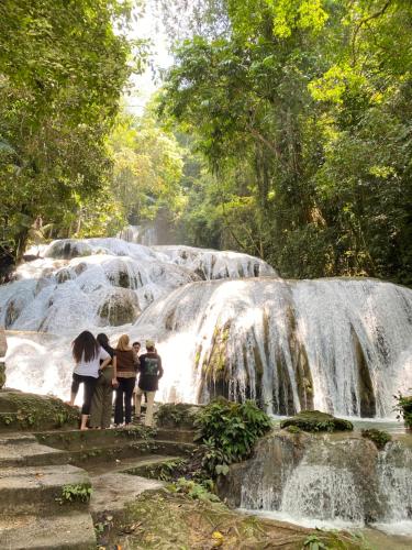 Amadeo Guest House in Tentena