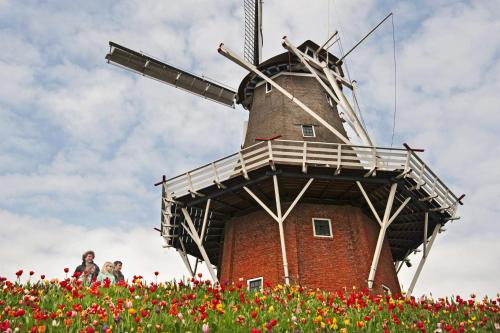 B&B De Pastorie bij Dokkum