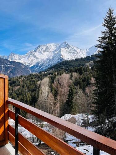 Appartement montagnard avec vue sur le Mont-Blanc - Location saisonnière - Saint-Gervais-les-Bains