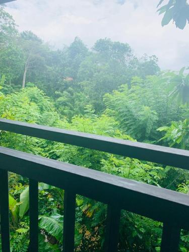 Villa33, Weligama (foto 8)