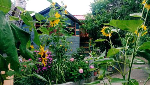 Soondhucottage&Homestay