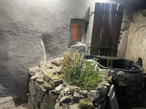 Harzhotel Warnstedter Krug - image 13