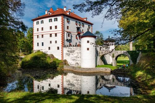Cherry house - cosy house - ideal for bear watching, in the neighborhood of the medieval Snežnik castle, Stari Trg pri Ložu (zdjęcie 6)