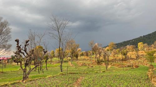 Surrounding environment, Flashpackers Bir | Rooms & Dorms in Palampur