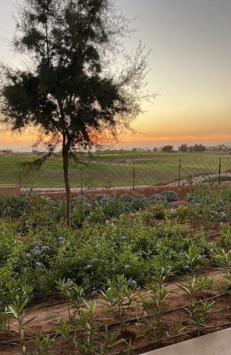 Appartement with view on the sea and golf, Taghazout