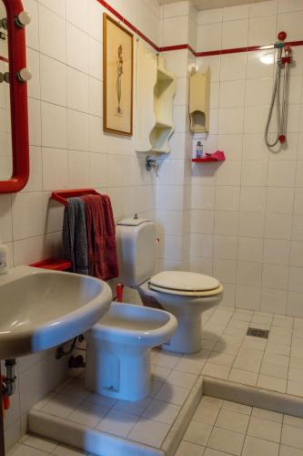  Historic Villa in Tuscany in Borgo a Buggiano