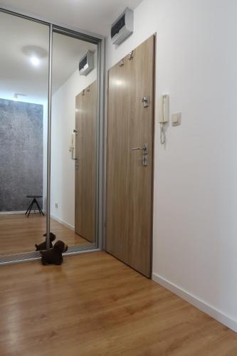 Studio Plejada, Bytom (fotografie 8)