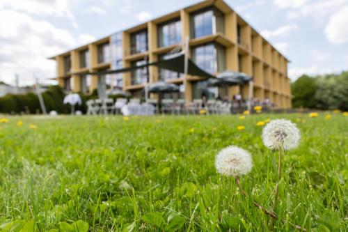 rugs Hotel am Schlosspark Lichtenwalde