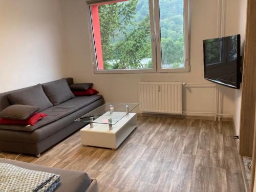 U KOSMONAUTA - Apartment - Děčín