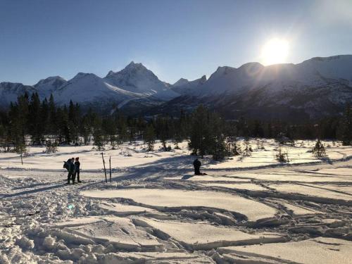 Villa i Isfjorden! Villa i Isfjorden!