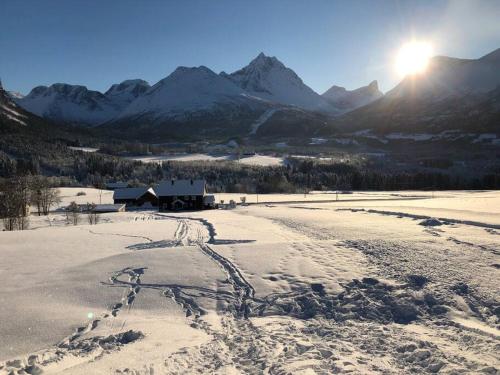 Villa i Isfjorden! Villa i Isfjorden!