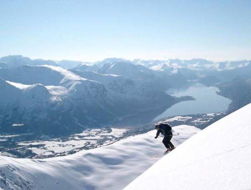 Villa i Isfjorden! Villa i Isfjorden!