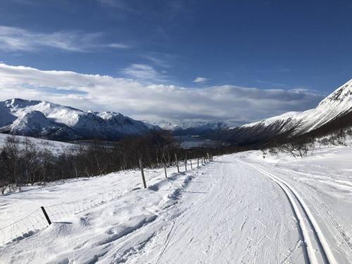 Villa i Isfjorden! Villa i Isfjorden!