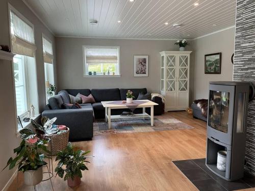 Villa i Isfjorden! Villa i Isfjorden!