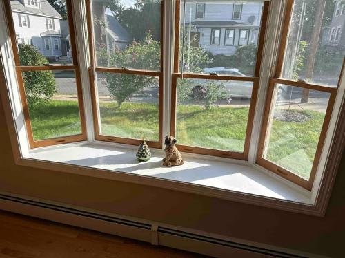 Room in Single Family House - Suburban Neighborhood in Boston in Boston, USA