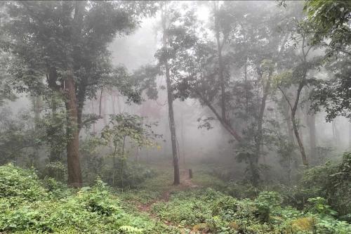 Doi PuMuen LAHU Homestay - 주변 환경