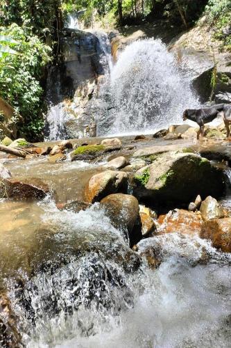 View, Doi PuMuen LAHU Homestay in Mae Ai
