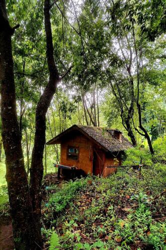 Doi PuMuen LAHU Homestay - 숙소 외관