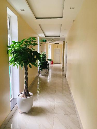 Son Ca Motel near Dieu De Pagoda