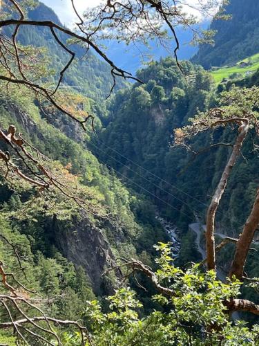  Centered Apartment with view in 6460 Altdorf