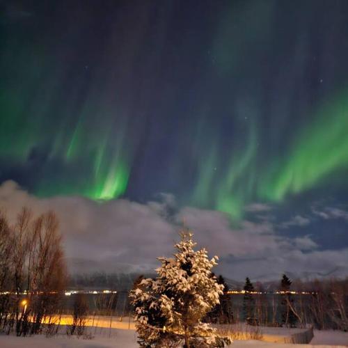 Peaceful small house by the sea - Tromsø