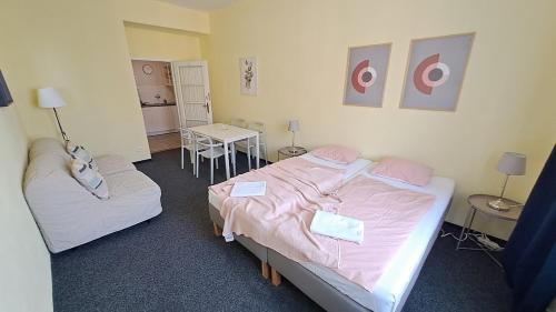 Flat in Zizkov -402-, Praga