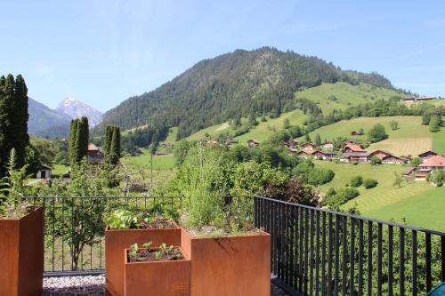 A környék, Chalet Park Apartment mit Sauna Hamam in Diemtigen