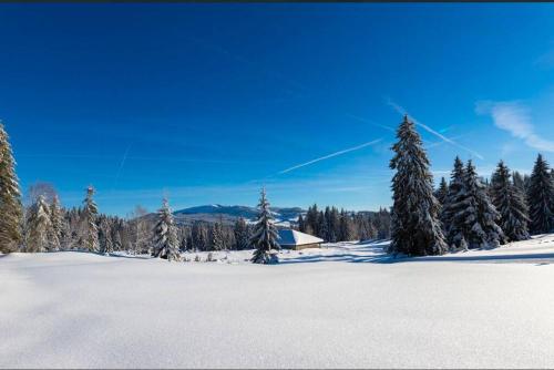 Chaleureux Studio Montagnard avec balcon