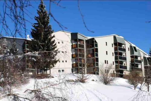 Chaleureux Studio Montagnard avec balcon