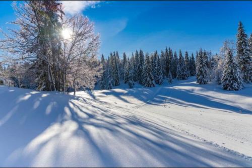 Chaleureux Studio Montagnard avec balcon