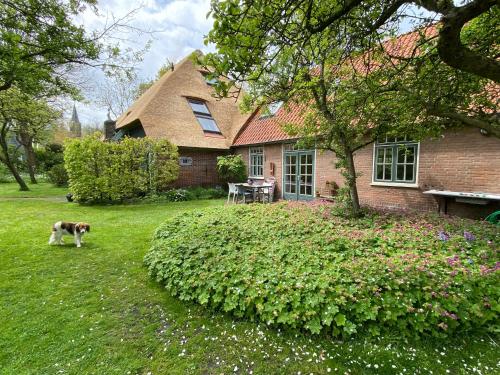 De Windroos | Atelier Aan Zee in กรูท เมท ฮาร์เคน