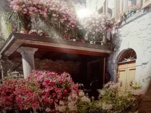  Casa Letizia, Unterkunft in Badia Prataglia