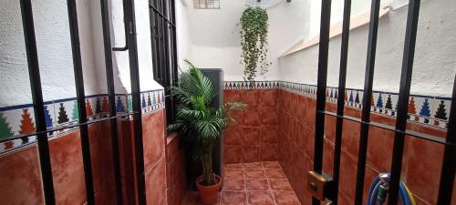Apartamentos Alma, Granada (photo 6)