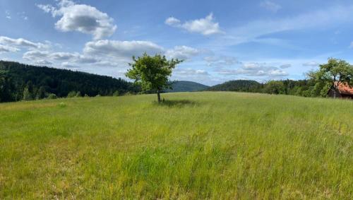 Auszeit am Wildkatzenpfad