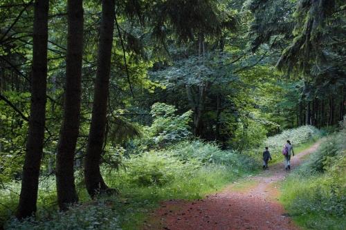 River Edge Lodges - image 3