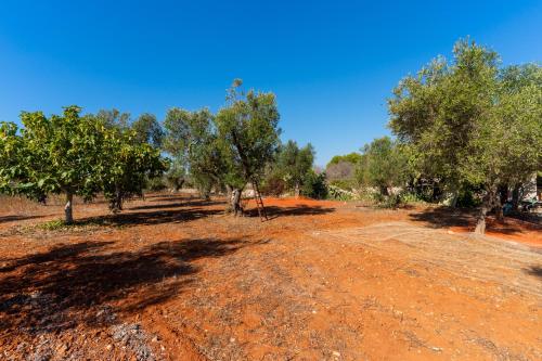 Appartamento Arancio 3 Appartamento Arancio 3