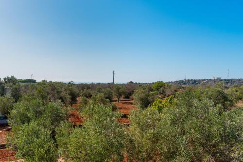 Appartamento Azzurro 2 Appartamento Azzurro 2