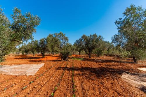 Appartamento Azzurro 2 Appartamento Azzurro 2