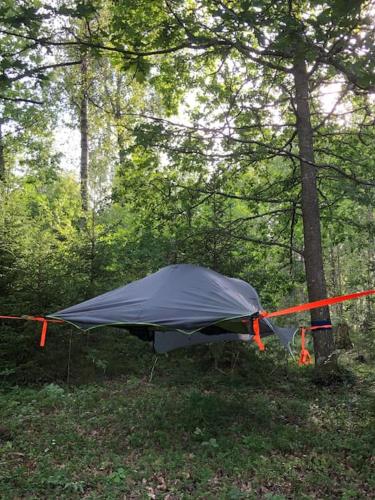 Tree-tent overlooking lake in private woodland