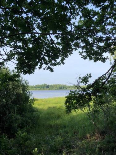 Tree-tent overlooking lake in private woodland