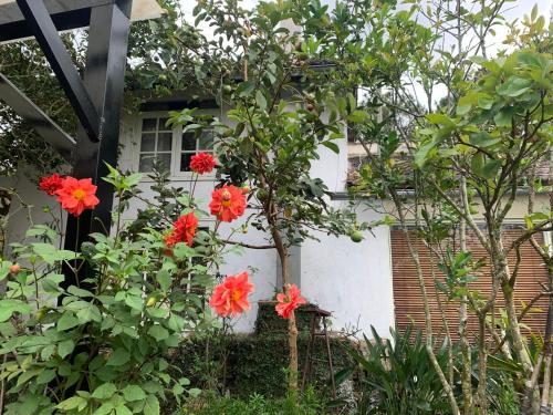 Family house - stay on pine hill Dalat