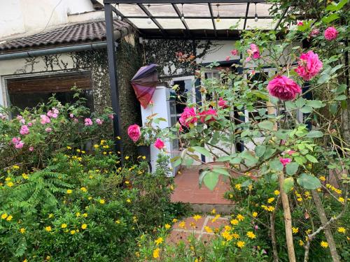 Family house - stay on pine hill Dalat