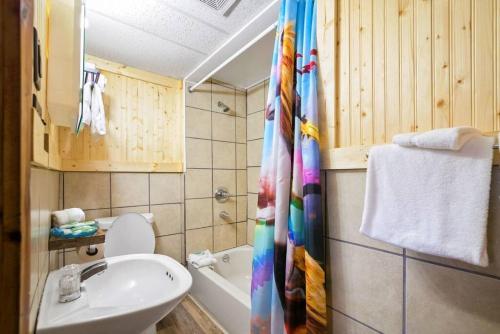 4 Spacious Dog Friendly Cozy Motel Room Leadville in Leadville, USA