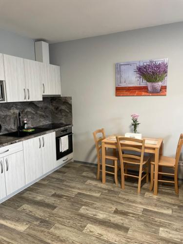 ห้องครัว, Apartmány Andělská (Apartmany Andelska) in โนเว ซาดี