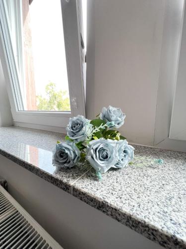 517 Zentrum Ost Apartment, Lipsk (zdjęcie 6)