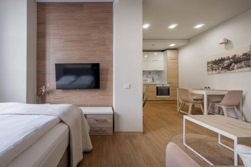 Studio with Sofa Bed and a River View image 7