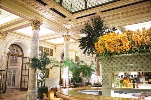 49950726 The Plaza