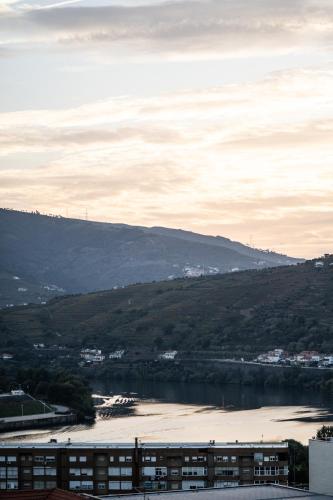 Douro D'Heart - Regua Guesthouse - Casa Completa