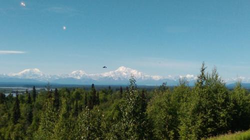 Talkeetna Love-Lee Cabins - image 2